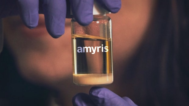 Amyris Lead