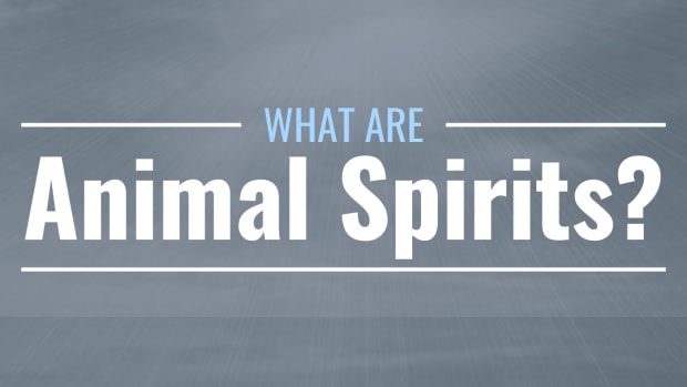 Image of a darkened sky with beams of light and a bird flying above the clouds with text overlay: "What Are Animal Spirits?"