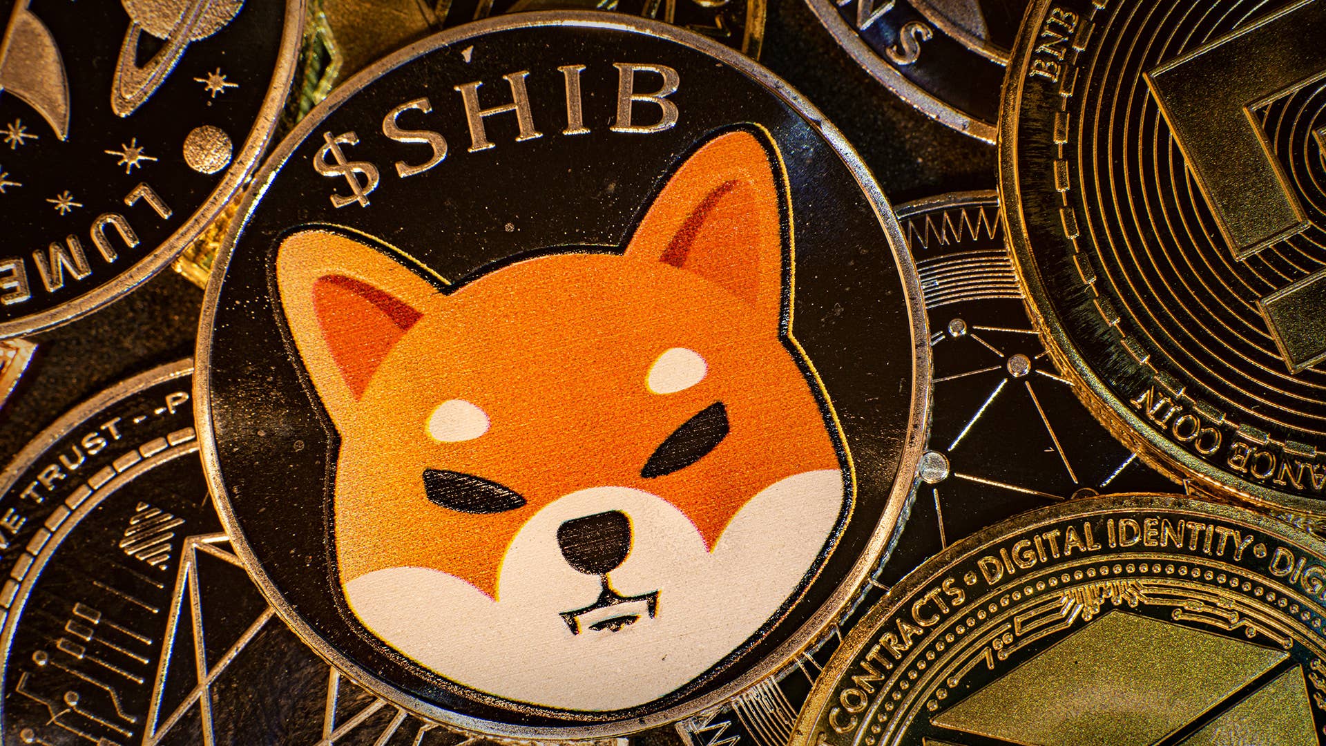Shiba Inu - TheStreet Crypto: Bitcoin and cryptocurrency news, advice ...