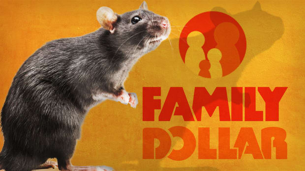 Family Dollar Rats Lead JS