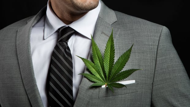 marijuana-business-leaders-the-new-wave-of-politicians