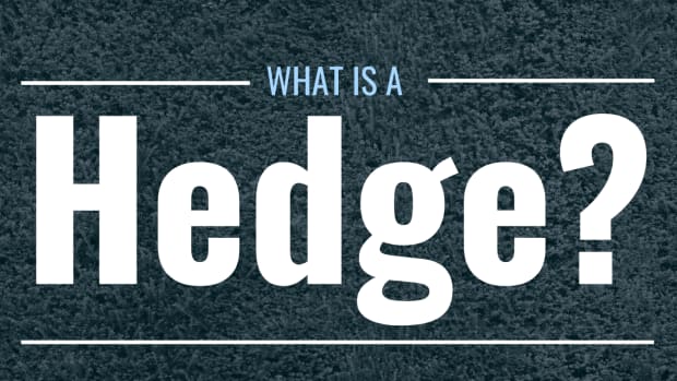 Image of a hedge with text overlay: "What Is a Hedge?"