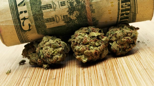 Cannabis Stocks Lead KL 082522