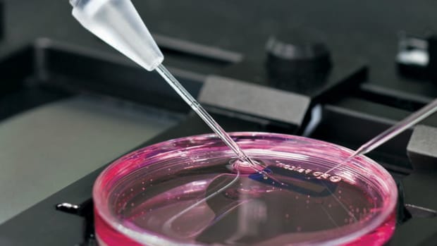 Regeneron Is Ready to Reanimate: Watch for a Breakout