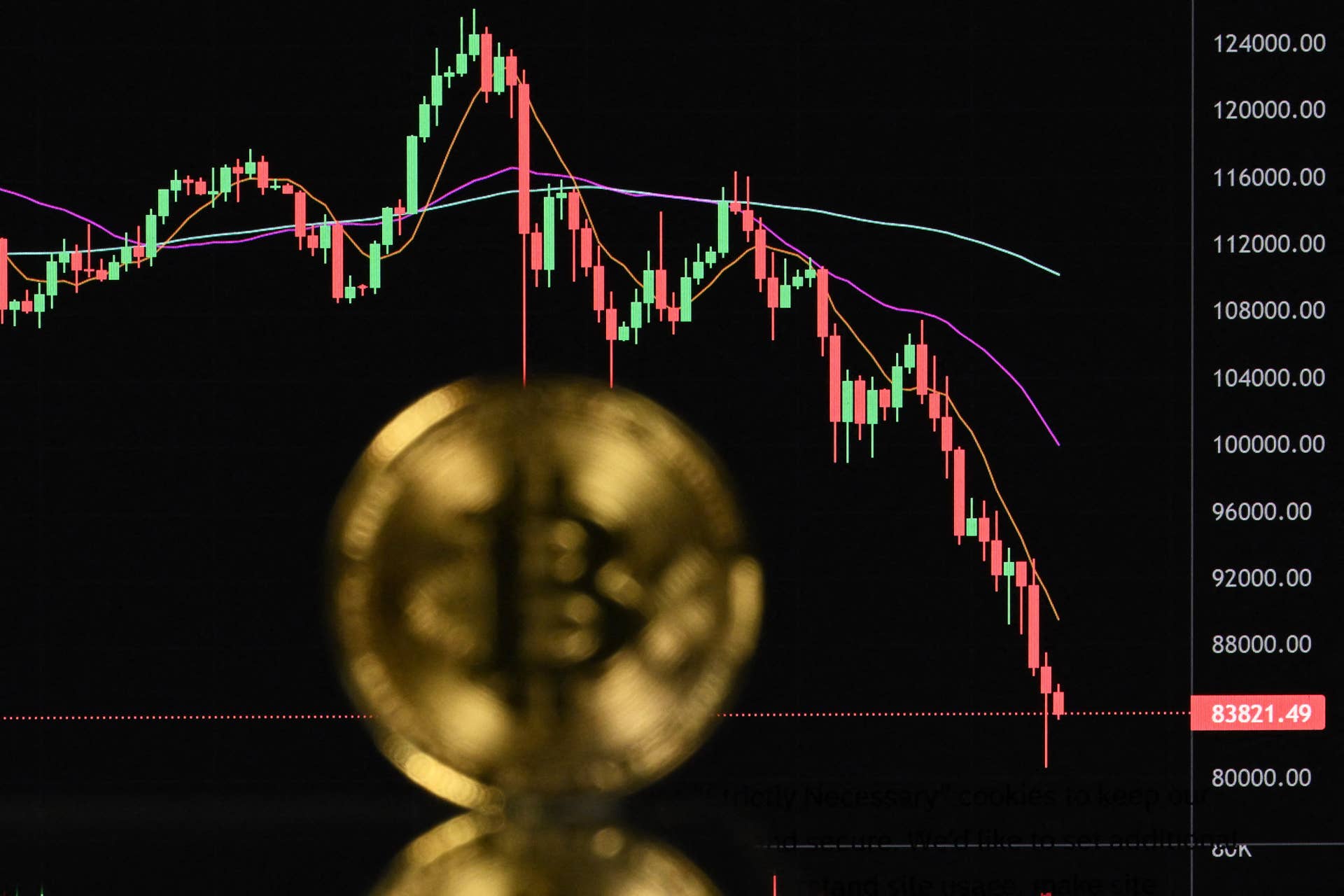 Fold CEO says 'partners don't bat an eye' when Bitcoin drops 50% ...