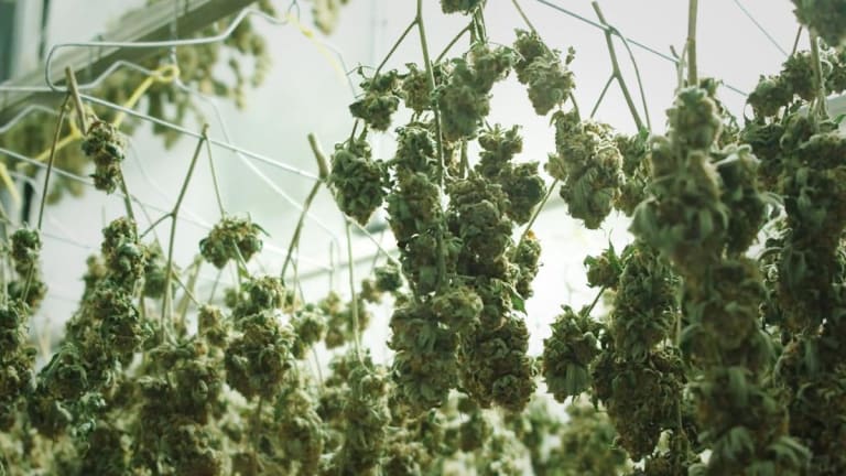 Cronos Sells Stake in Whistler Medical Marijuana to Aurora Cannabis