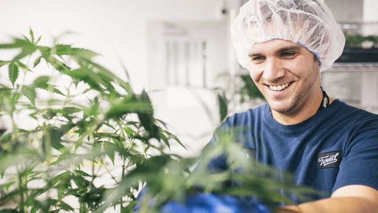 Canopy Growth Sells 13.2% Stake in Australian Cannabis Firm AusCann