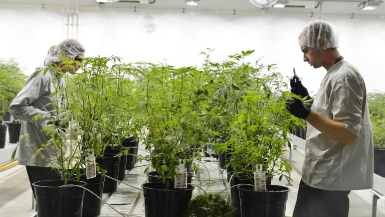 Canopy Growth, Shopify, Thermo Fisher Scientific: 'Mad Money' Lightning Round