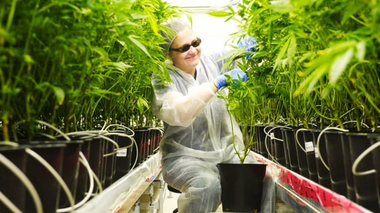 Tilray Signs $100 Million Deal With Authentic Brands