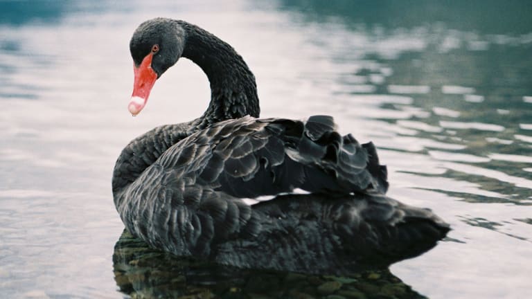 An Investment Strategy That Reduces the Risk of Black Swans