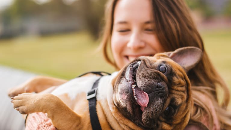 The Most Pet-Friendly Cities in the U.S.