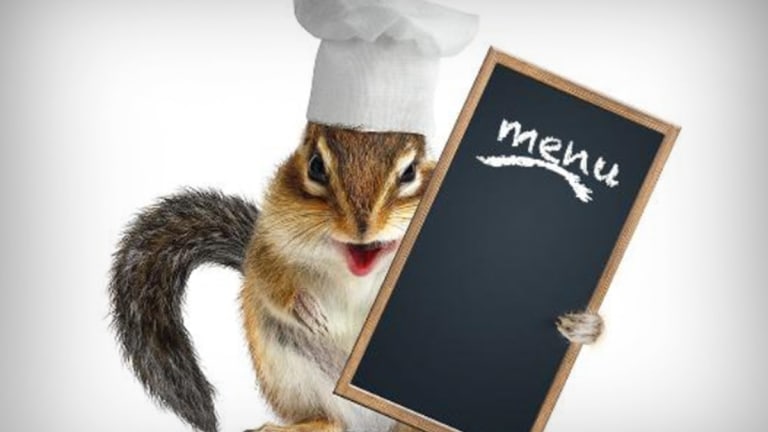 Roadkill Cuisine: Can You Eat That?