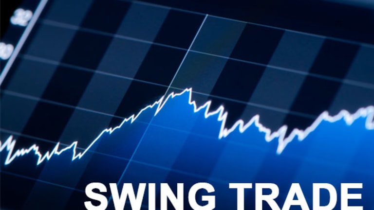 Top Swing Trade Ideas for Monday: Cerus, Endocyte, More