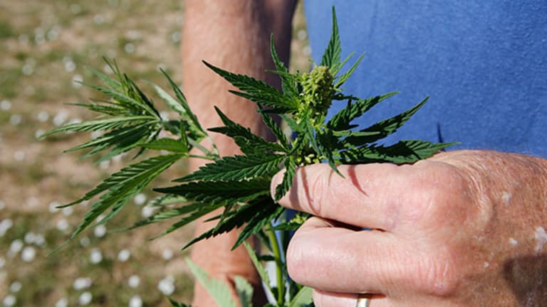 Nebraska and Oklahoma Sue Colorado in Supreme Court Over Legal Recreational Pot