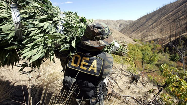 Drug Cartels Take Colorado? Drug Enforcer Backtracks