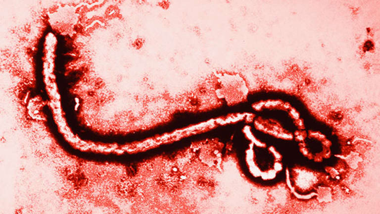 Scammers Prey on Ebola Fears: There's Danger Beyond Your Health