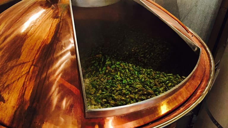 10 Fresh Hop Beers for Harvest Season