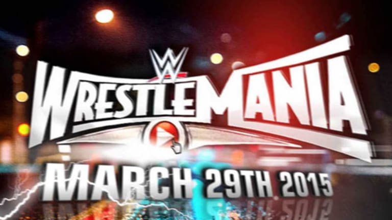 WWE Gets Pummeled as Investors Fear Subscriber Numbers Will Erode