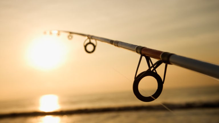 The Digital Skeptic: The Web Guts Bob's Sport & Tackle