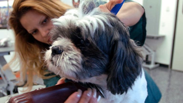 Investments That Go to the Dogs (and Cats)