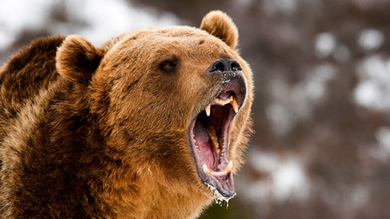 To the Perma-Bulls Out There: We Are in a Bear Market