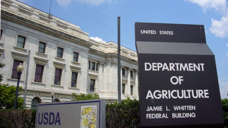 Pilgrim's Pride Stock Will Be Just Fine Despite Massive Chicken Recall