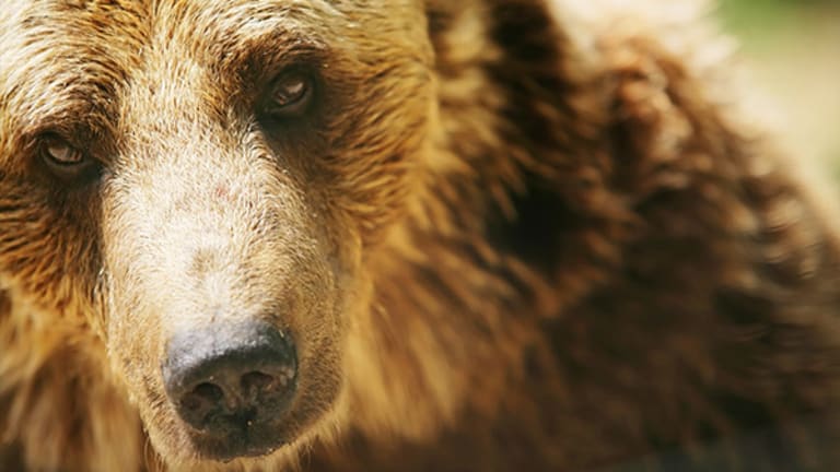 Jim Cramer -- 'The Real Market's Healthier,' So Ignore the Bears