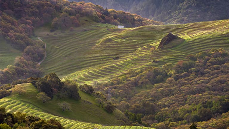 Napa Valley Winemakers Go a Different Way to Add Subtlety, Character to Cabernet Sauvignon