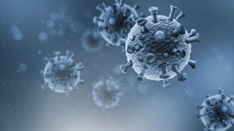 Does coronavirus linger in the body? What we know about how viruses in general hang on in the brain and testicles