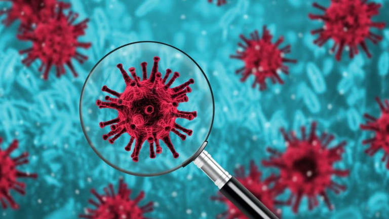 Rapid screening tests that prioritize speed over accuracy could be key to ending the coronavirus pandemic
