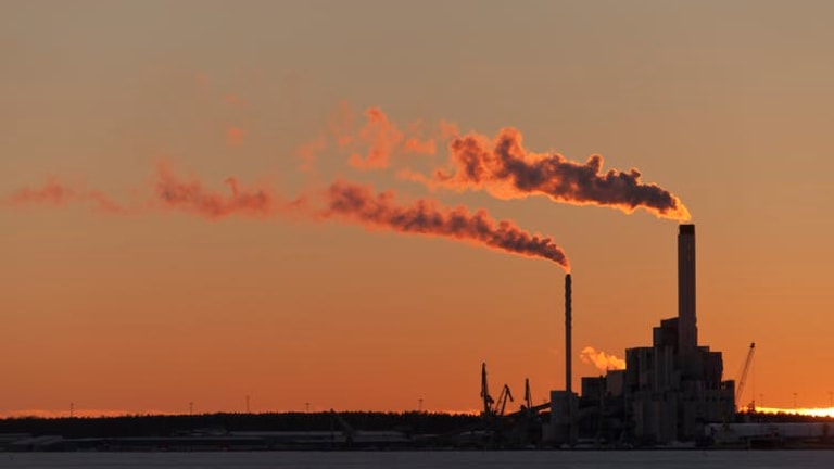 Exposure to man-made chemicals influences genes controlling aging, immune system and metabolism