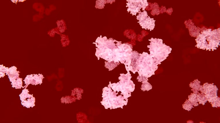 COVID-19 causes some patients’ immune systems to attack their own bodies, which may contribute to severe illness
