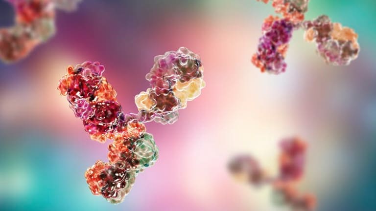 What monoclonal antibodies are – and why we need them as well as a vaccine