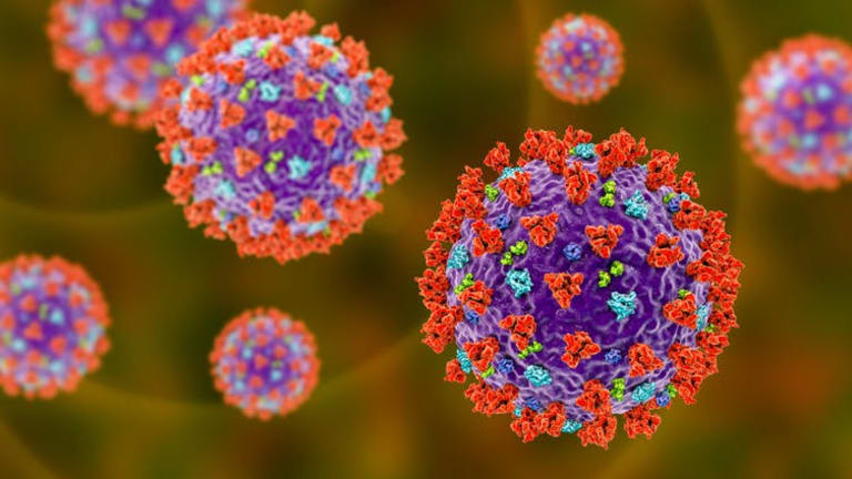 COVID vaccines focus on the spike protein – but here’s another target
