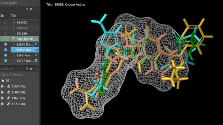 Software Engineers Lead Drug Breakthough