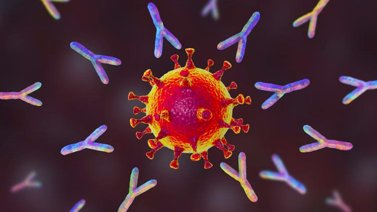 Why it takes 2 shots to make mRNA vaccines do their antibody-creating best – and what the data shows on delaying the booster dose