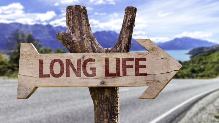 Lifetime Income Annuity: How does it work?