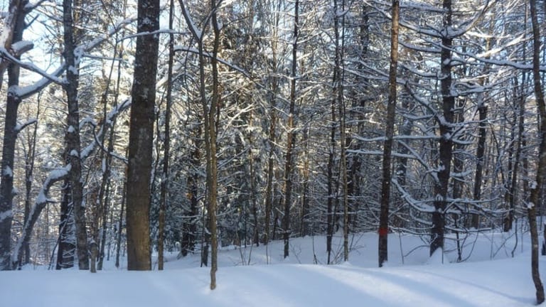 Climate change is shrinking winter snowpack
