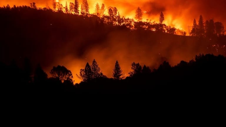 Echoes of 2008: Could climate change spark a global financial crisis?