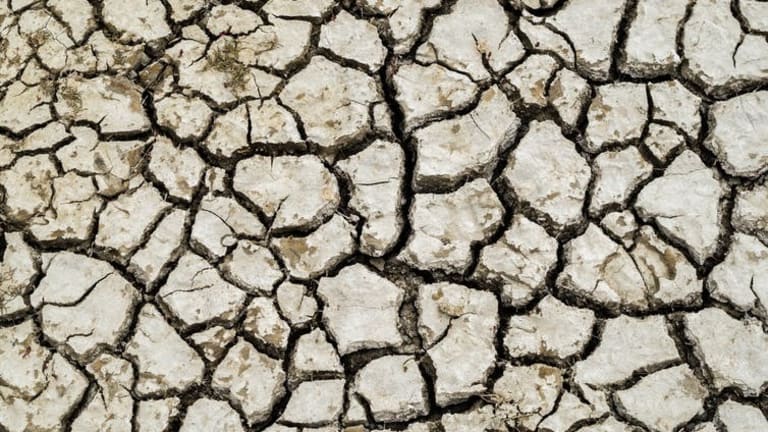Surviving climate change means transforming both economics and design