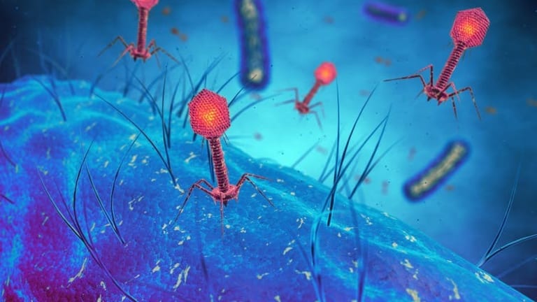 Opening Pandora’s Box: Gene editing and its consequences