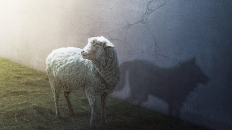 A wolf in sheep’s clothing: Disruption is overrated in terms of innovation