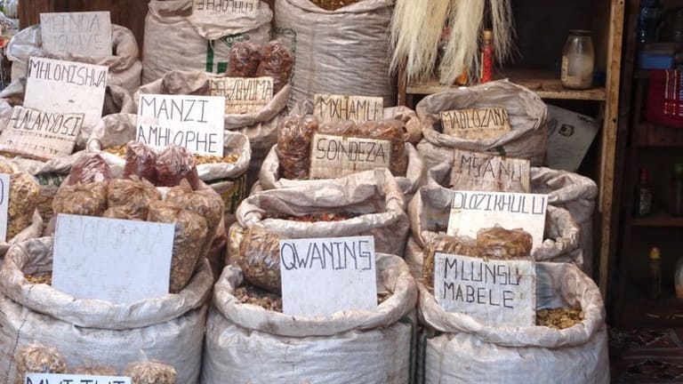 The story of the pharma giant and the African yam