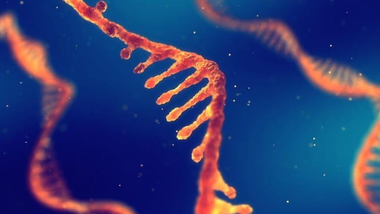 Approval of first ‘RNA interference’ drug – why the excitement?