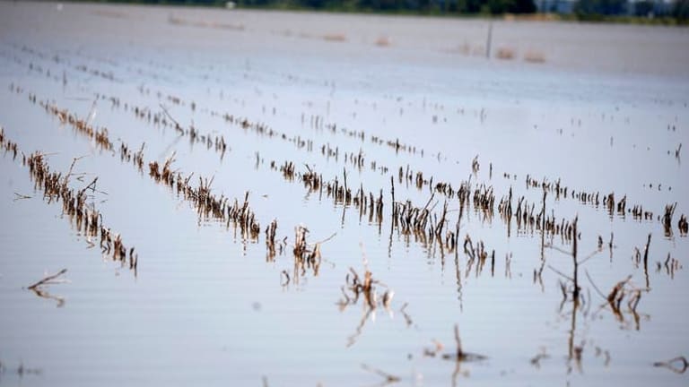 Climate change is affecting crop yields and reducing global food supplies
