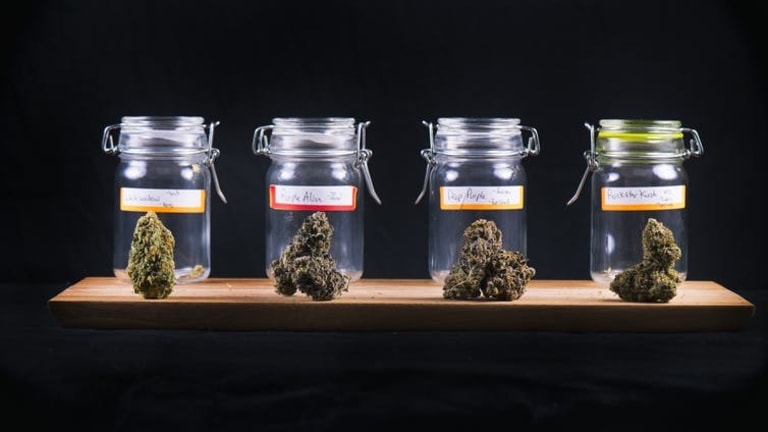 Marijuana is a lot more than just THC