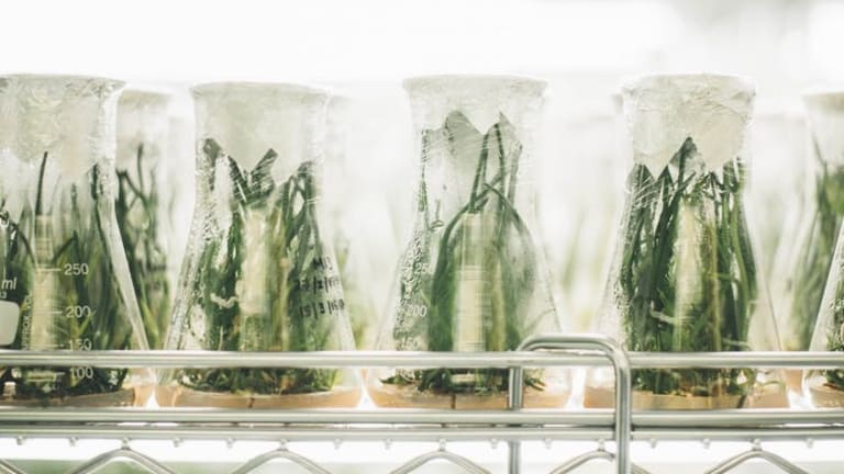 What’s the role of a profit motive in research?