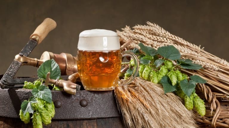 Beer crisis: climate change could cause a global barley shortage