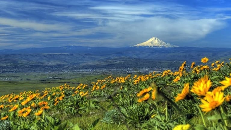Pacific Northwest’s Cascadia fault: more seismically active than others