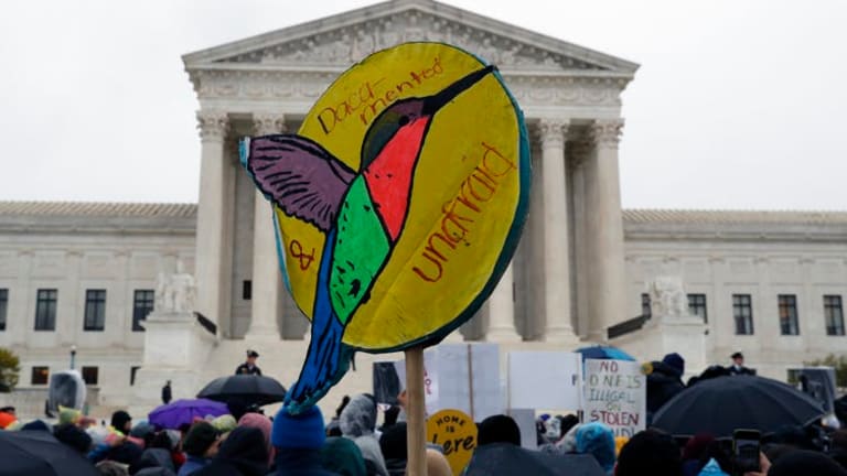 DACA argued at the Supreme Court: 6 essential reads